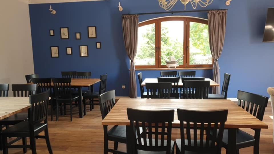 Czar Mamry Apartamenty Węgorzewo Exterior foto